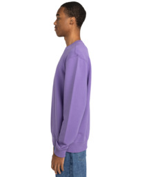 3 Dual - Sudadera para Hombre Violeta ELYSF00264 Element