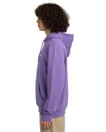 3 Skateboard Co - Sudadera con capucha para Hombre Violeta ELYSF00266 Element