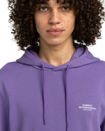 4 Skateboard Co - Pullover Hoodie for Men Purple ELYSF00266 Element