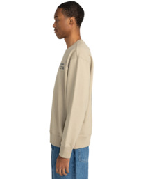 3 Job Done - Pullover Sweatshirt for Men Beige ELYSF00274 Element