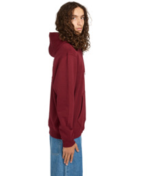 3 Seal Bp Po - Sweatshirt com capuz para Homem Vermelho ELYSF00295 Element