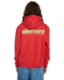 6 Lowcase Bp Po - Hoodie for Men Red ELYSF00296 Element