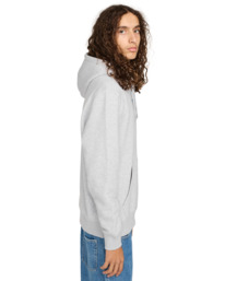 3 Dual Po - Kapuzenpulli für Männer Grau ELYSF00298 Element