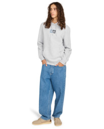 5 Dual Po - Kapuzenpulli für Männer Grau ELYSF00298 Element