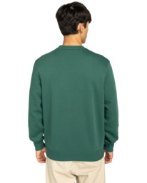 6 Home Team Cr - Sweatshirt for Men Green ELYSF00299 Element