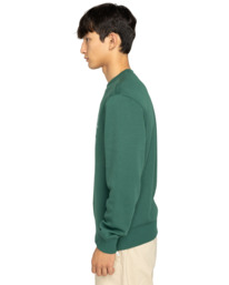 3 Home Team Cr - Sweatshirt for Men Green ELYSF00299 Element