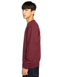 3 Aligator Cr - Sudadera para hombre Rojo ELYSF00304 Element