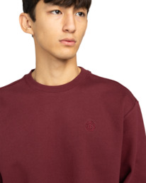 4 Aligator Cr - Sudadera para hombre Rojo ELYSF00304 Element