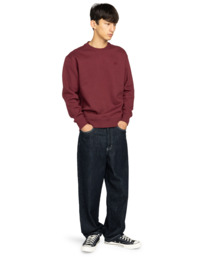 6 Aligator Cr - Sudadera para hombre Rojo ELYSF00304 Element