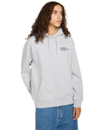 2 Motion Tree Po - Hoodie for Men Gray ELYSF00305 Element