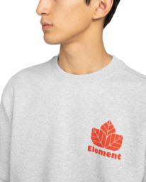 4 Sporting Cr - Felpa da Uomo Gray ELYSF00308 Element