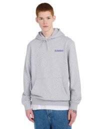 2 Swamps - Hoodie for Men Grey ELYSF00328 Element
