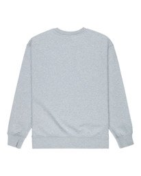 1 Stars Oak - Sweatshirt for Men Grey ELYSF00338 Element