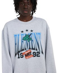 4 Stars Oak - Sweatshirt for Men Grey ELYSF00338 Element