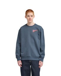 6 Great Beyond Gray ELYSF00377 Element