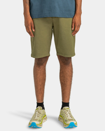 2 Howland Classic - Chino Shorts for Men Brown ELYWS00104 Element