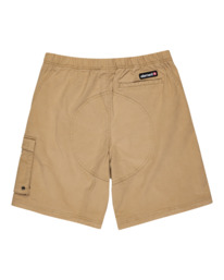 1 Pull Up Travel - Hiking Shorts for Men Green ELYWS00109 Element