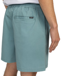 5 Chillin Classic 17" - Walkshort con vita elasticizzata da Uomo Blue ELYWS00133 Element