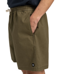 5 Chillin Classic 17" - Shorts mit elastischem Bund für Männer Grün ELYWS00133 Element