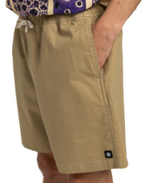 4 Chillin Classic 17" - Short de marche à taille élastique pour Homme Vert ELYWS00133 Element