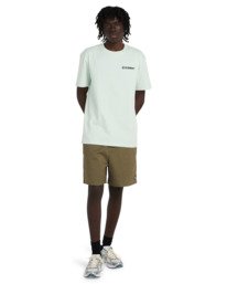 6 Regular Ewaist - Bermuda Chino da Uomo Green ELYWS00153 Element