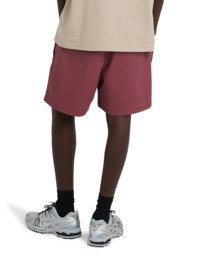 7 Regular Ewaist - Bermuda Chino da Uomo Purple ELYWS00153 Element