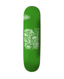 0 Jungle Vitoria Mendonca Multi ELYXD00242 Element