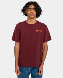 2 Blazin - T-Shirt for Men Red ELYZT00264 Element