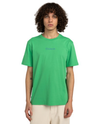 2 Forever - Short Sleeves T-Shirt for Men Green ELYZT00491 Element