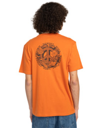 6 Ancient Universe - T-shirt à manches courtes pour Homme Orange ELYZT00498 Element