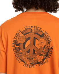 4 Ancient Universe - T-shirt à manches courtes pour Homme Orange ELYZT00498 Element