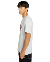 3 Home Team - T-shirt met korte mouwen voor Heren Gray ELYZT00553 Element