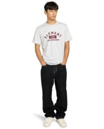 5 Home Team - T-shirt met korte mouwen voor Heren Gray ELYZT00553 Element