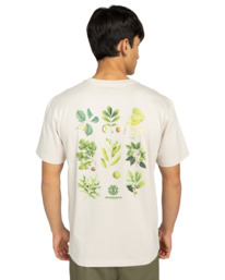 7 Bigfoot Trees - T-Shirt à manches courtes pour Homme Beige ELYZT00585 Element
