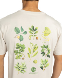5 Bigfoot Trees - T-Shirt à manches courtes pour Homme Beige ELYZT00585 Element