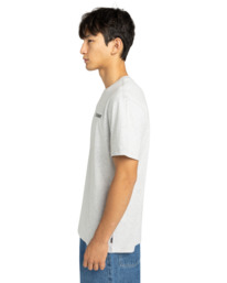 3 Blazin Chest - T-Shirt für Männer Grau ELYZT00595 Element