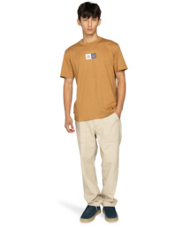 3 Dual - T-Shirt für Männer Braun ELYZT00602 Element