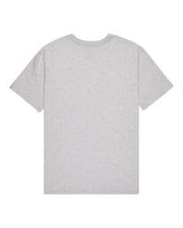 1 Element Co - T-shirt met korte mouwen voor Heren Gray ELYZT00603 Element