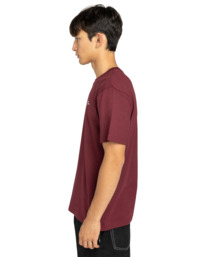 4 Element Co - T-Shirt für Männer Rot ELYZT00603 Element