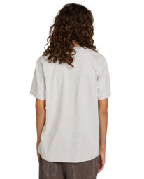 6 Element Co - T-shirt met korte mouwen voor Heren Gray ELYZT00603 Element