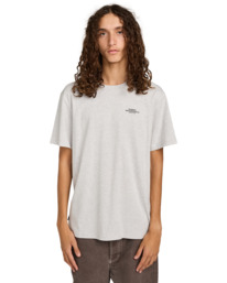 3 Element Co - T-shirt met korte mouwen voor Heren Gray ELYZT00603 Element