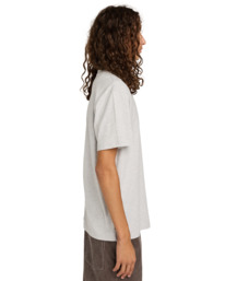 4 Element Co - T-shirt met korte mouwen voor Heren Gray ELYZT00603 Element