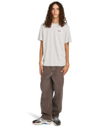 5 Element Co - T-shirt met korte mouwen voor Heren Gray ELYZT00603 Element
