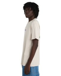 3 Swamps - T-Shirt f&uuml;r M&auml;nner Beige ELYZT00621 Element