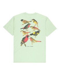 1 Orni - T-Shirt f&uuml;r M&auml;nner Gr&uuml;n ELYZT00626 Element