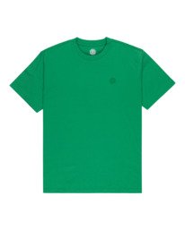 1 Lakeside Gr&uuml;n ELYZT00628 Element