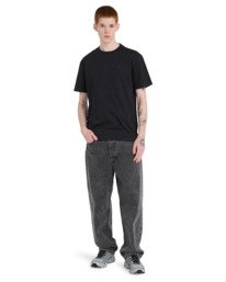 5 Lakeside Schwarz ELYZT00628 Element