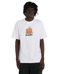 2 Sound Of Nature Weiss ELYZT00644 Element