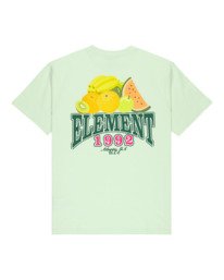 1 Fruit Gr&uuml;n ELYZT00660 Element
