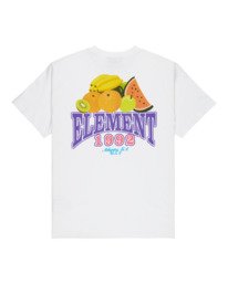 1 Fruit White ELYZT00660 Element